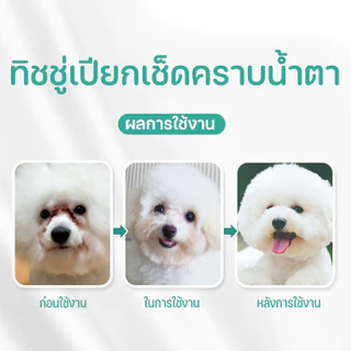 BHQ ผ้าเช็ดทำความสะอาดสัตว์เลี้ยง ทิชชู่เปียกเช็ดคราบน้ำตา หู แบบอ่อนโยน สูตรพืชธรรมชาติ บรรจุ120 ชิ้น