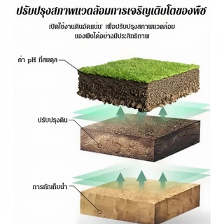 สารอาหารสำหรับพืช 18 ชิ้น / ปุ๋ยแท่ง ละลายช้า เร่งโต เร่งงาม ผลไม้ และผัก ส่งจากไทย