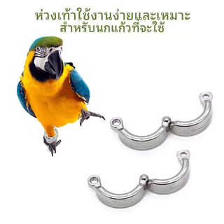 โซ่คล้องขานกสแตนเลส พร้อมห่วงขานก ห่วงนก โซ่นกสายยืดคล้องขานก ขนาด50-80ซมนกแก้วฟอพัสหงษ์หยกเลิฟเบิร์