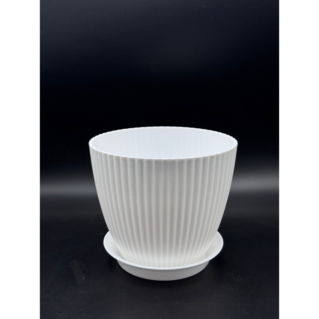 มุมมอง 8