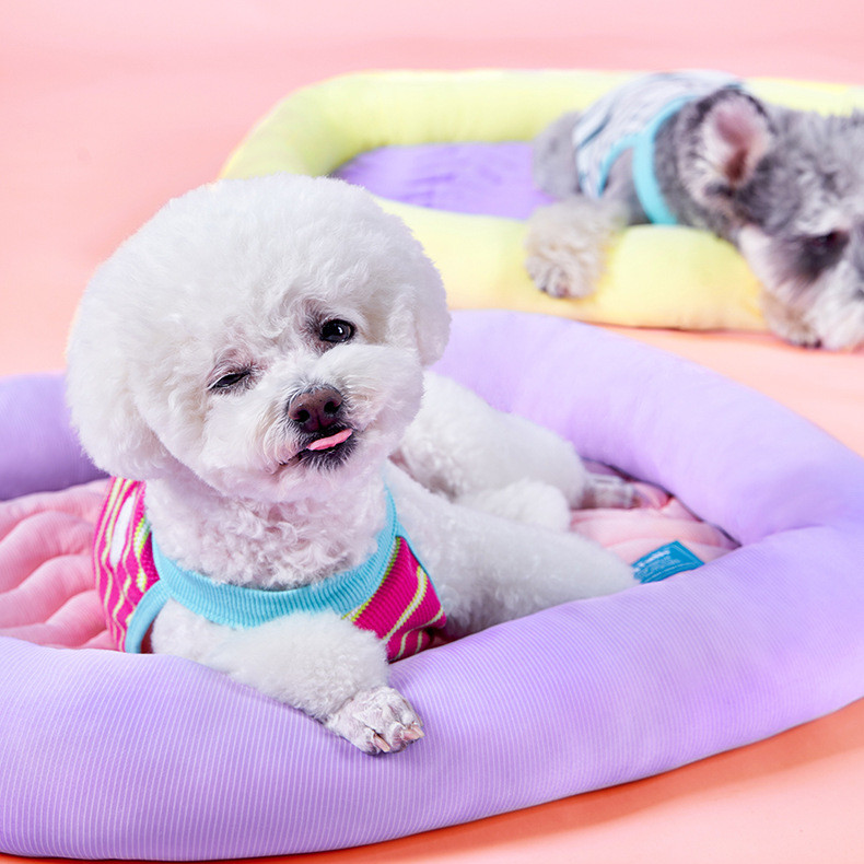 CheesePet เบาะสัตว์เลี้ยงแบบเย็นสบาย เตียงแมว เตียงสุนัขขนาดเล็ก ใช้งานได้ทุกฤดู ราคา ถูกที่สุด ดีลบีเคเค แกลเลอรีภาพที่ 4
