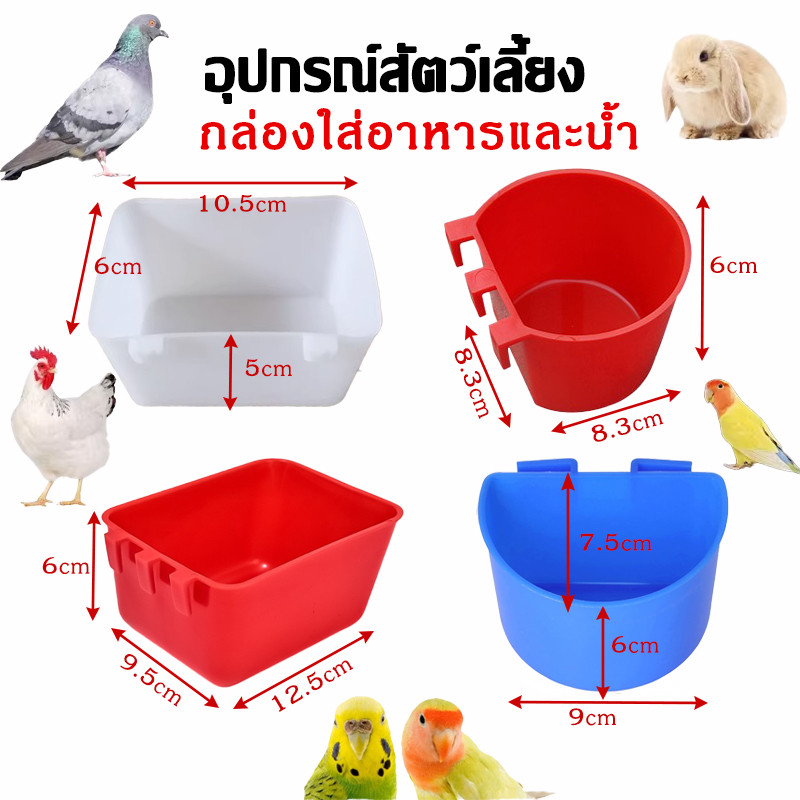 ถ้วยน้ำนก ถ้วยอาหารนก อุปกรณ์แต่งกรง ชามอาหาร สำหรับ นก กระต่าย ไก่ สัตว์เลี้ยง อุปกรณ์สัตว์เลี้ยง