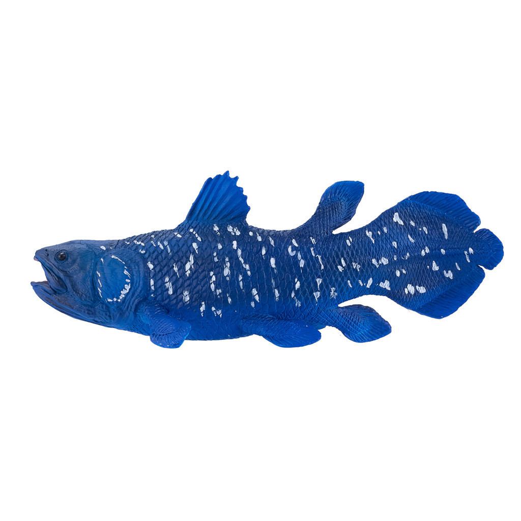 โมโจ 381050 Coelacanth ของเล่นรูปเด็กพลาสติกสัตว์ปลา sea life ตุ๊กตา