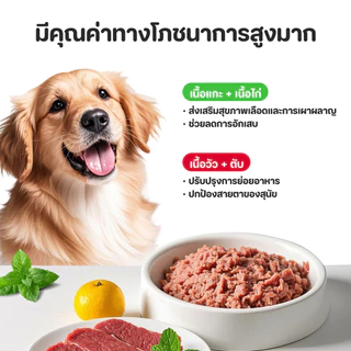 【PET RECORD】🔥อาหารสุนัขเปียกกระป๋อง 460g โปรตีนสูง ย่อยง่าย เพิ่มความอยากอาหาร บำรุงขน สุขภาพแข็งแรง