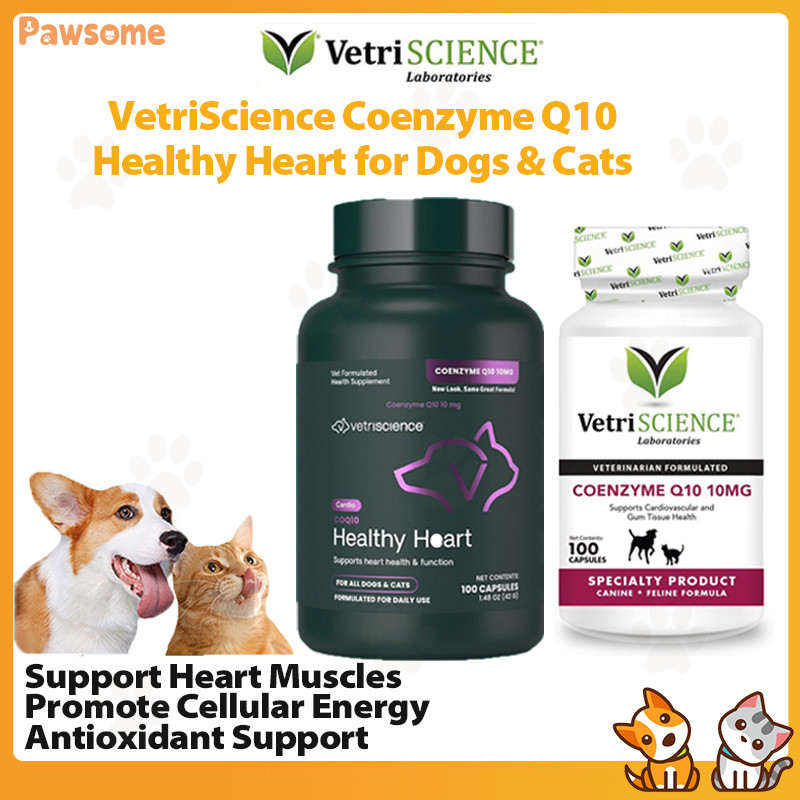 VetriScience Coenzyme Q10 Coq10 สําหรับแมวและสุนัขหัวใจอาหารเสริมสารต้านอนุมูลอิสระและเสริมภูมิคุ้มก