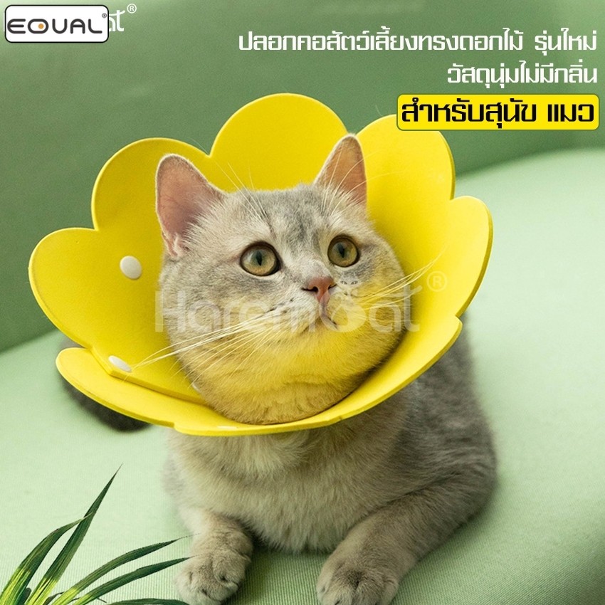 EQUAL ปลอกคอกันเลีย รูปดอกไม้ คอลล่ากันเลีย ลำโพงหมา ลำโพงแมว ลำโพงกันเลีย สุนัข แมว