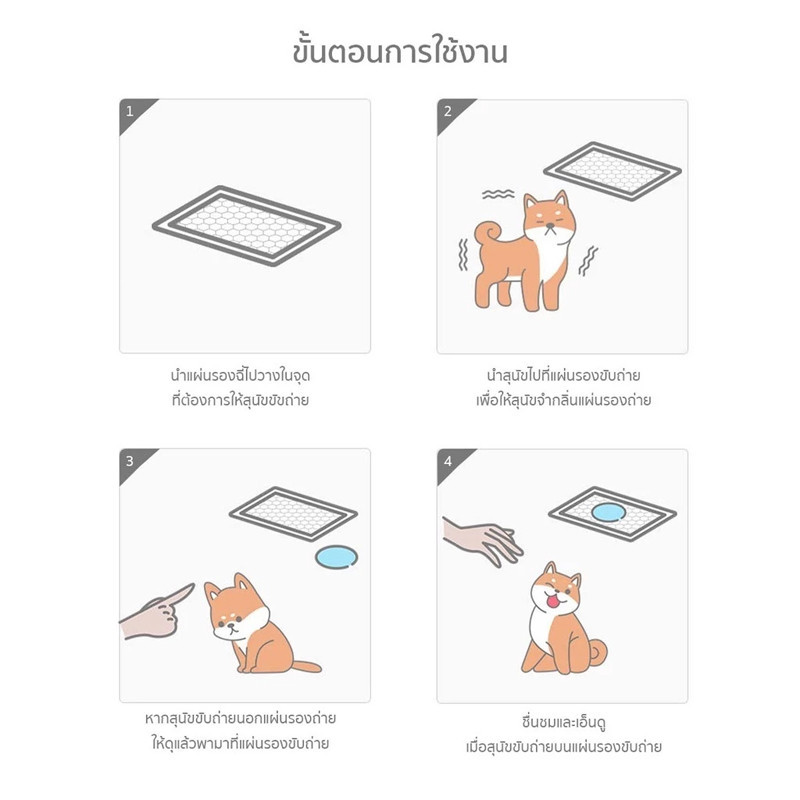 รูปภาพ 9