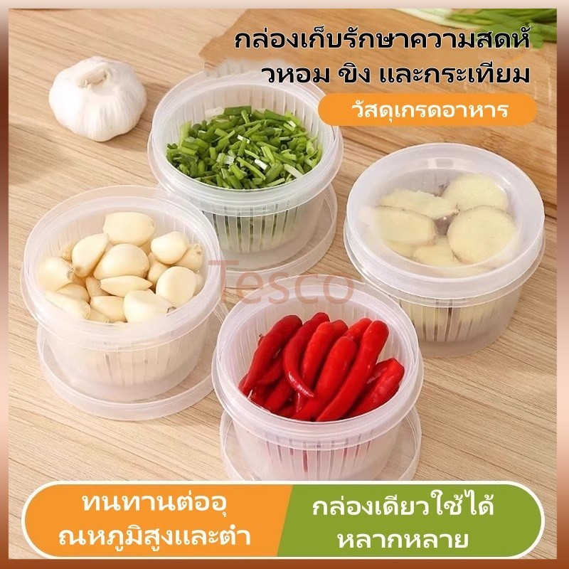 Tesco กล่องเก็บอาหารเกรดครัว ขิง และกระเทียม กล่องซีลท่อระบายน้ำ กล่องเก็บอาหารญี่ปุ่นอเนกประสงค์สำหรับตู้เย็นพิเศษ