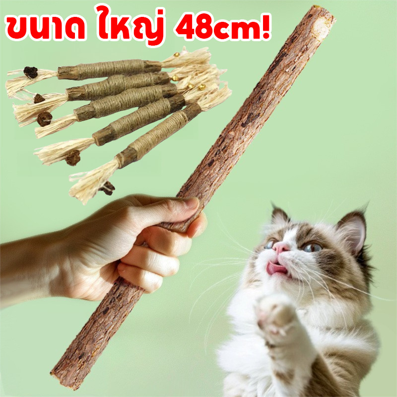 COD ไม้แมวเมา ไม้มาทาทาบิ ขัดฟันแมว ไม้ขัดฟัน ลดคราบหินปูน ของเล่นแมว 48cmไม้แปรงฟันแมว