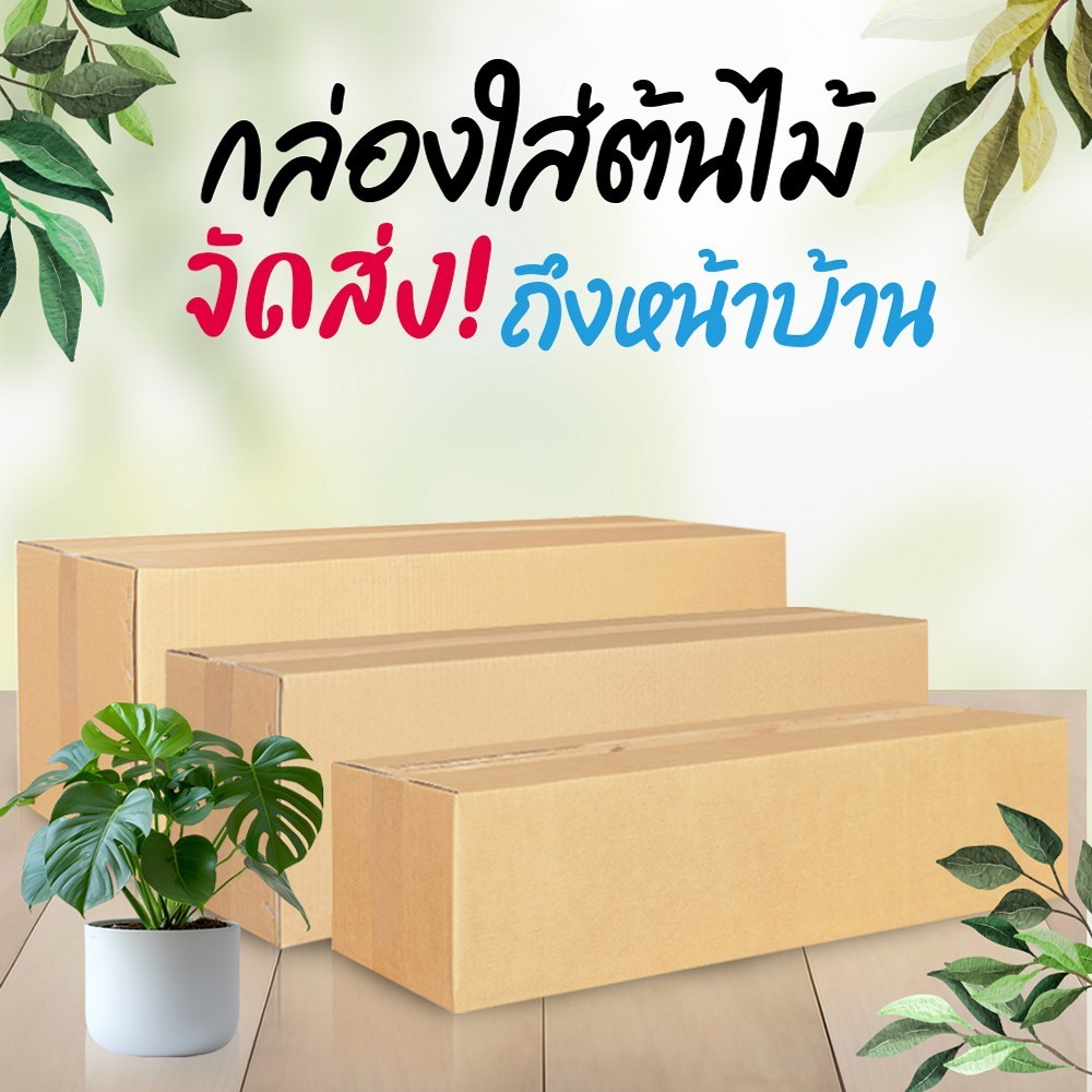 กล่องใส่ต้นไม้ กล่องไปรษณีย์ ฝาชน สีน้ำตาล เบอร์ 1,2,3 จ่าหน้า-ไม่จ่าหน้า (แพ็ค10ใบ)