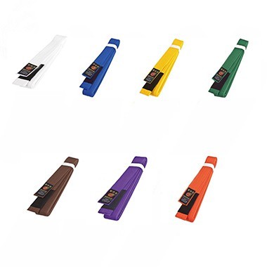 Karate Taekwondo Tang Soo Do Kendo Silat Judo BJJ Belt