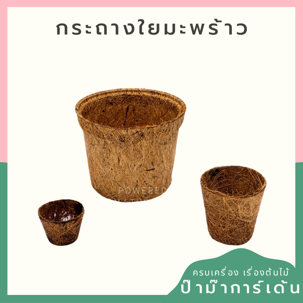 กระถางใยมะพร้าว กระถางต้นไม้ มีหลายขนาด