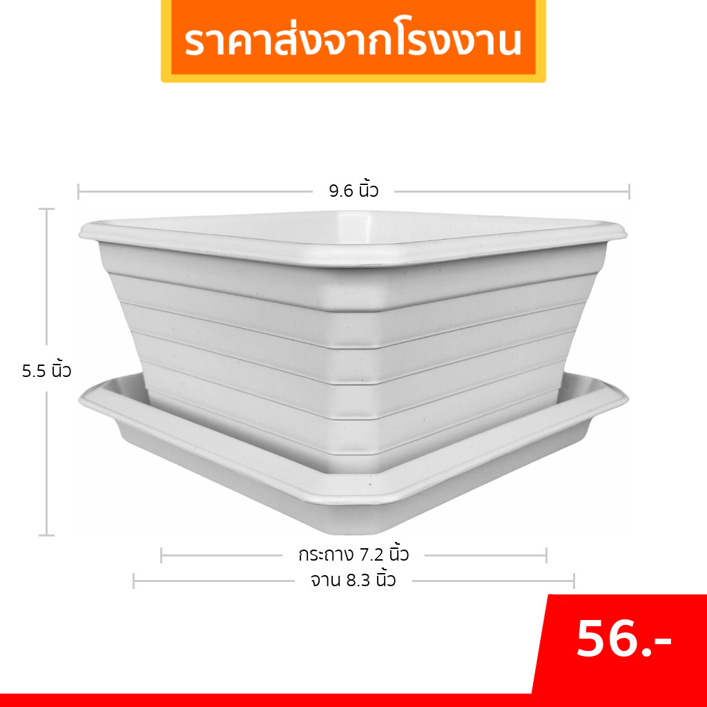 กระถาง กระถางบอนไซ กระถางสี่เหลี่ยม + จาน ขนาด 10 นิ้วเตี้ย สีดำ สีขาว สีเทา Bundle 5 ใบ ชิ้น อัน