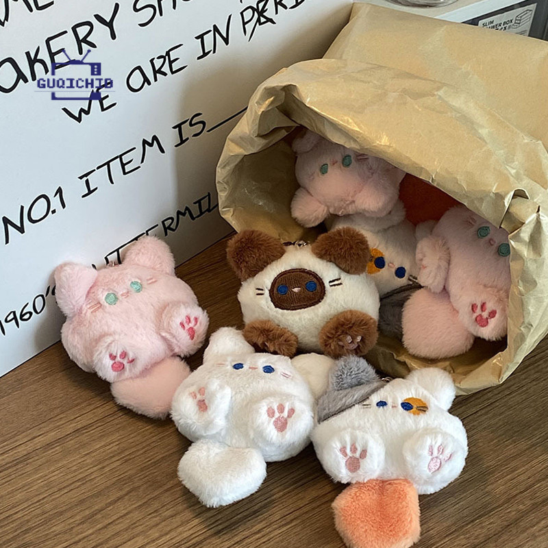 รูปภาพ 5