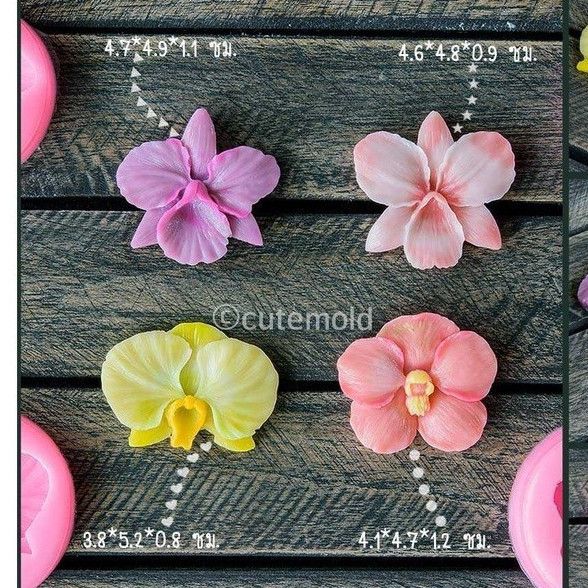 cutemold // คมชัด// พิมพ์ซิลิโคน แม่พิมพ์ฟองดอง อาลัว วุ้น กล้วยไม้ (เลือกแบบ)