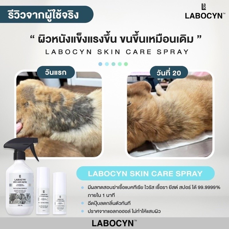 Labocyn Skin Care Spray สเปรย์ดูแลผิวหนัง ขนาด 25-50 ml (หมดอายุ 02/2027) - รูปที่ 5