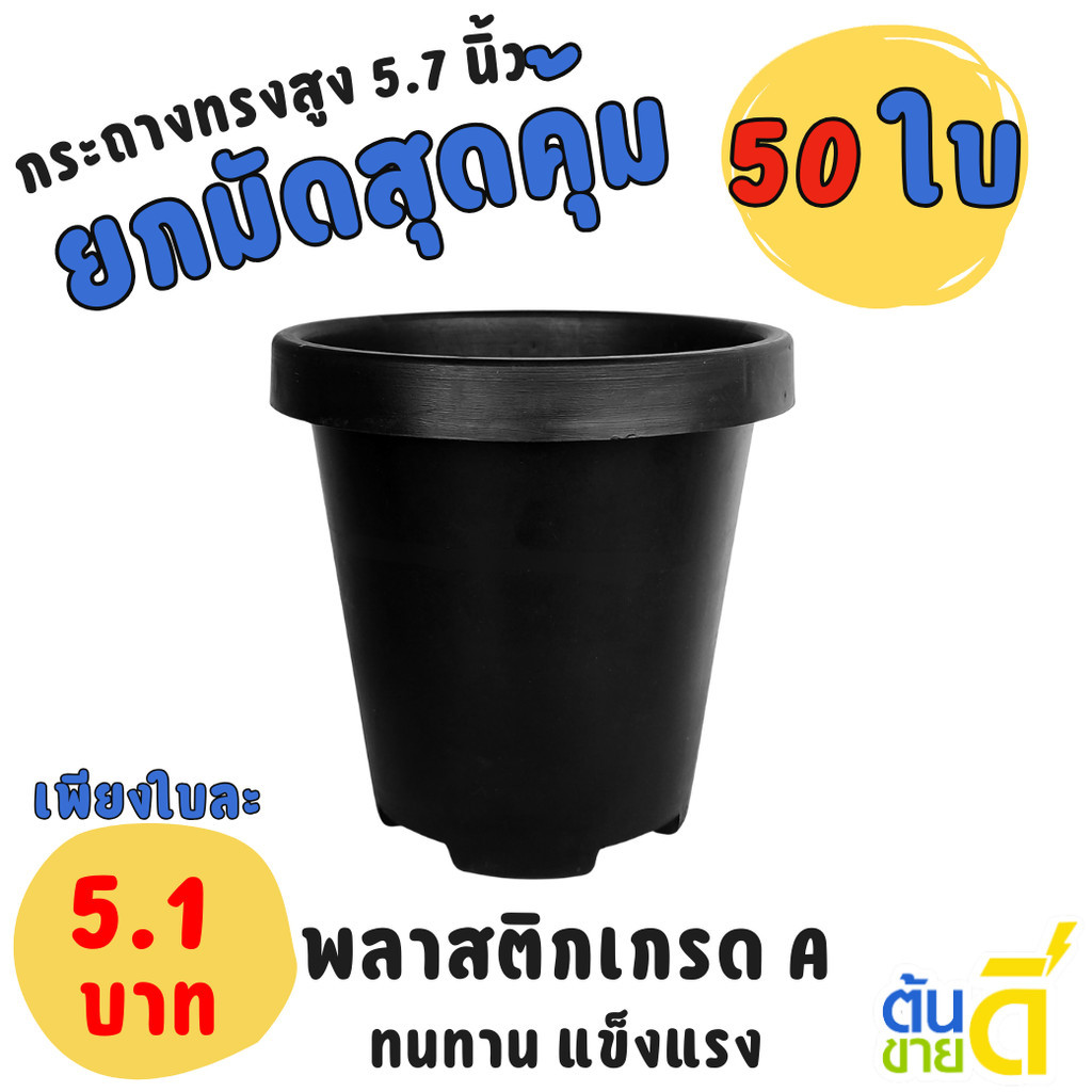 กระถาง แคคตัส ไม้กราฟ ทรงสูง 5 5.7 นิ้ว สีดำ Bundle 50 ใบ ชิ้น อัน