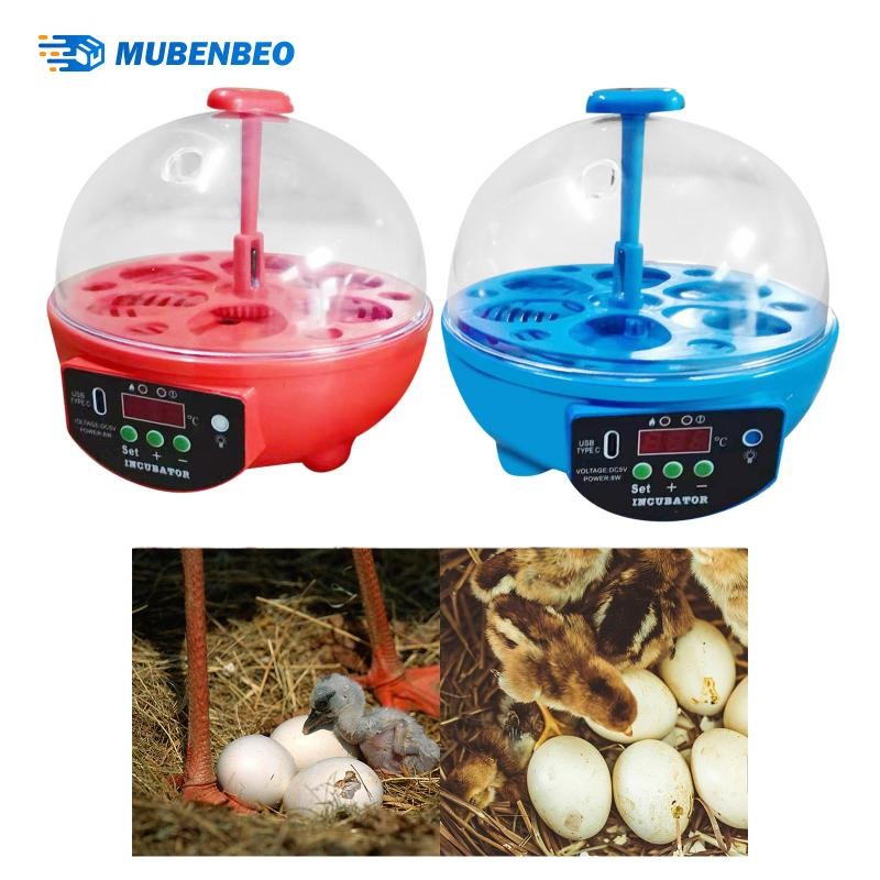 [mubenbeo] ไข่ 6 ฟองคู่มือควบคุมอุณหภูมิฟักไข่พร้อมเครื่องฟักไข่ไข่ขนาดเล็กแสงสําหรับนกนกพิราบเป็ดห่านไข่