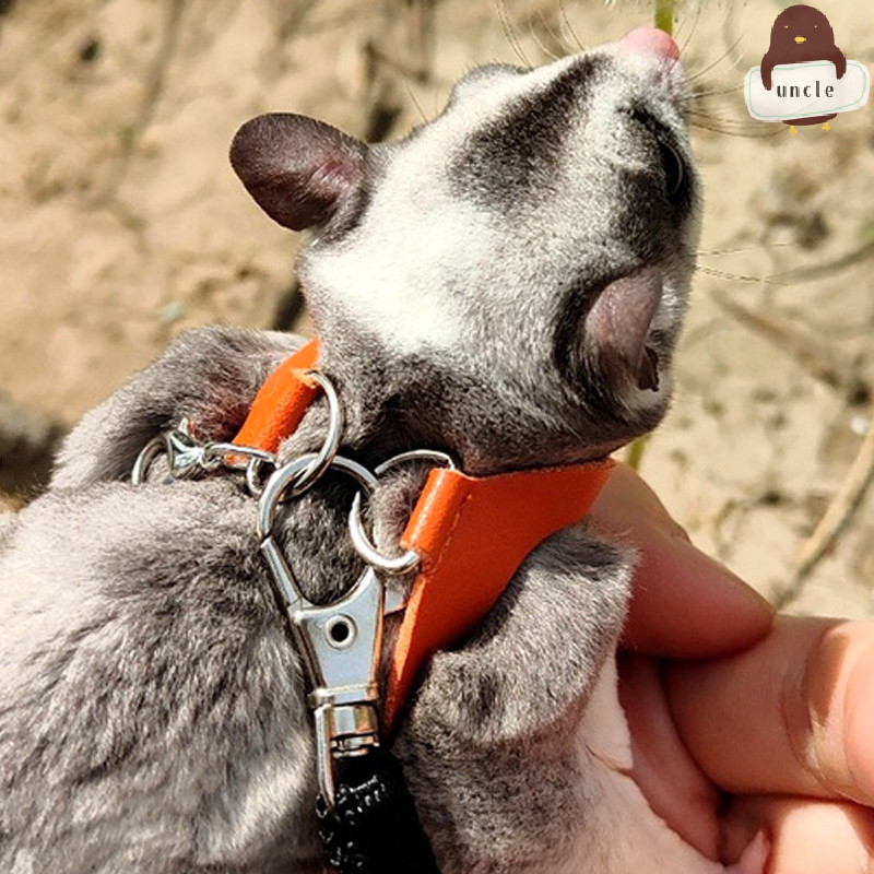 [UN] 4 ชิ้นสัตว์เลี้ยงขนาดเล็กสายรัดหน้าอกหนูแฮมสเตอร์สายจูงกระรอกป้องกันการกัดเชือกลากชูการ์เครื่องร่อน กันลม พิเศษป้องกันการสูญหายเชือก TH