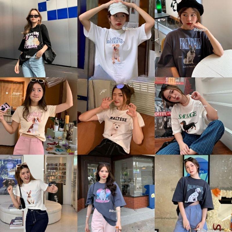 (จัดส่งตลอด 24 ชั่วโมง)เสื้อยืด Oversize เสื้อยืดโอเวอร์ไซส์ลายสุนัขน่ารักหลายสายพันธุ์ คอตตอน 100%