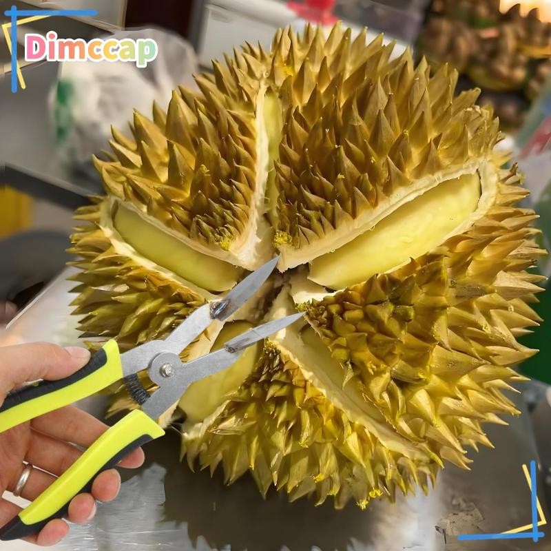 [ดีเอ็มซีแคป] ทุเรียนเปิดผลไม้ทุเรียนเปลือกเปิดคลิปมืออาชีพโลหะคีมตามหลักสรีรศาสตร์