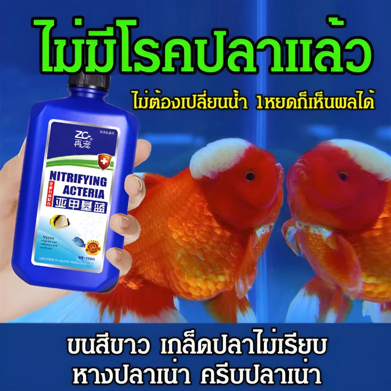 อุปกรณ์ตู้ปลา เมทิลีนบลู สารปรับสภาพน้ำ เครื่องกรองน้ำ thumbnail 4