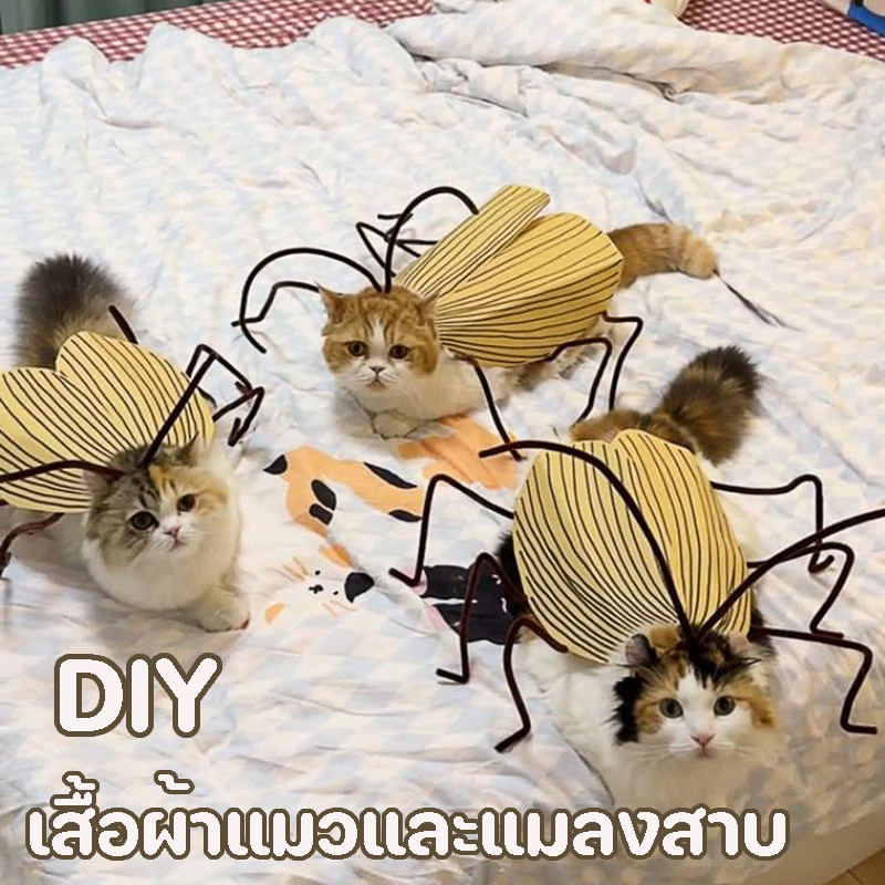 เสื้อผ้าแมวและแมลงสาบ DIY เสื้อผ้าสัตว์เลี้ยงแมลงสาบ ทำด้วยมือ แมวปลอม ตลก