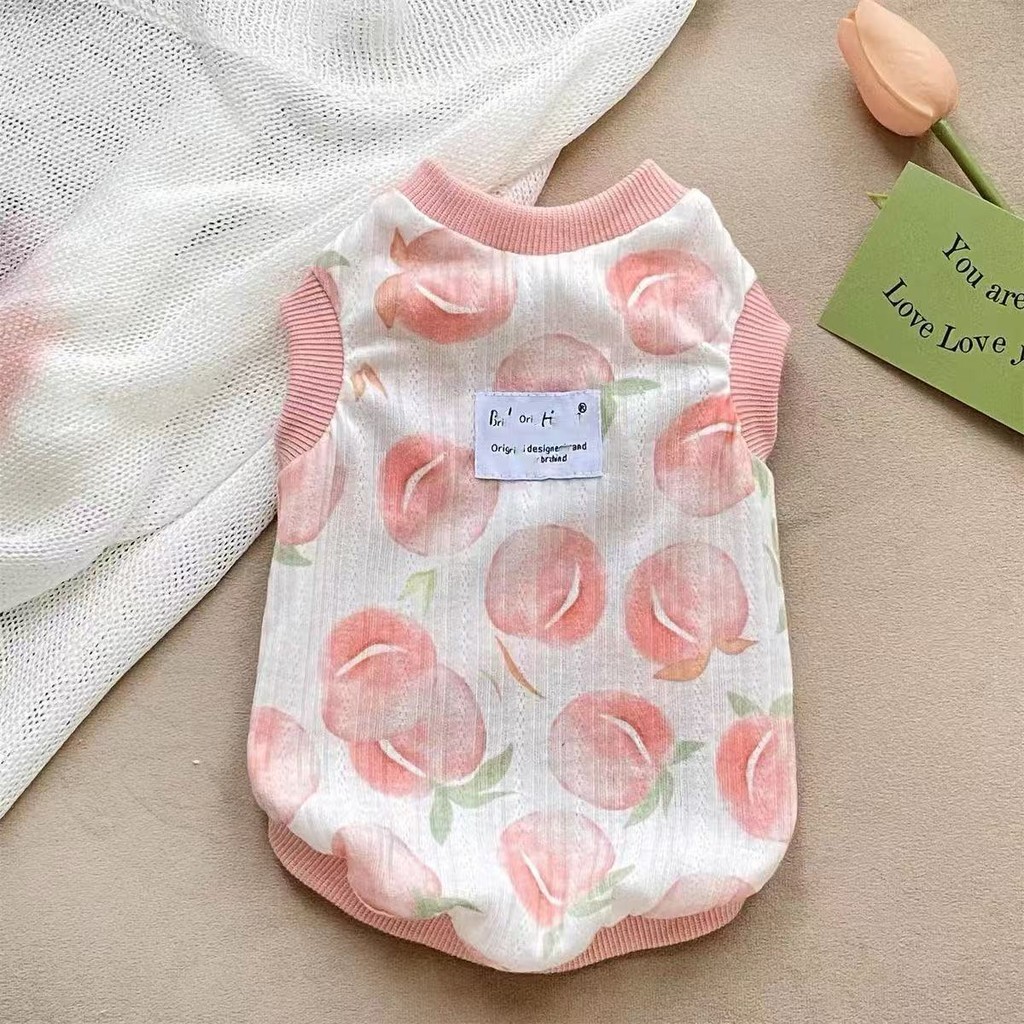 เสื้อผ้าสัตว์เลี้ยงฤดูใบไม้ผลิฤดูร้อนและฤดูใบไม้ร่วงบางเท็ดดี้สุนัขขนาดเล็กแมวเสื้อกั๊กสากลป้องกันผมร่วง - รูปที่ 2