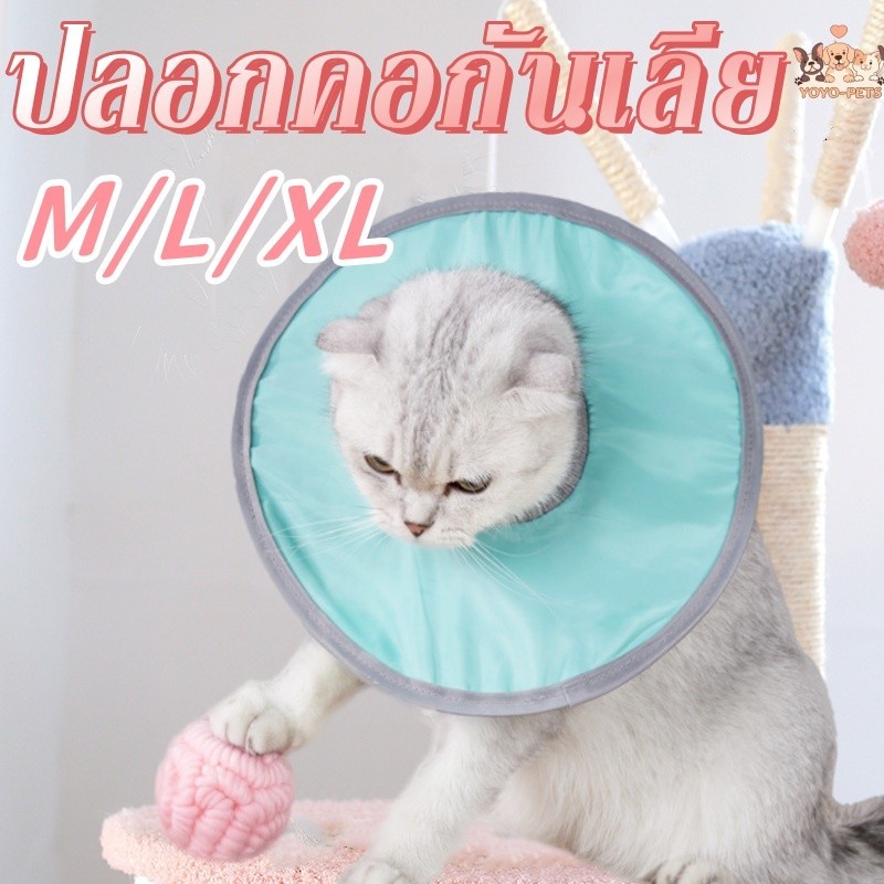 🔥พร้อมส่ง😻ปรับขนาดได้ คอลล่าแมว คอลล่ากันน้ำ คอลล่าเบา ปลอกคอกันเลีย กันเกา ป้องกันการเลียแผล