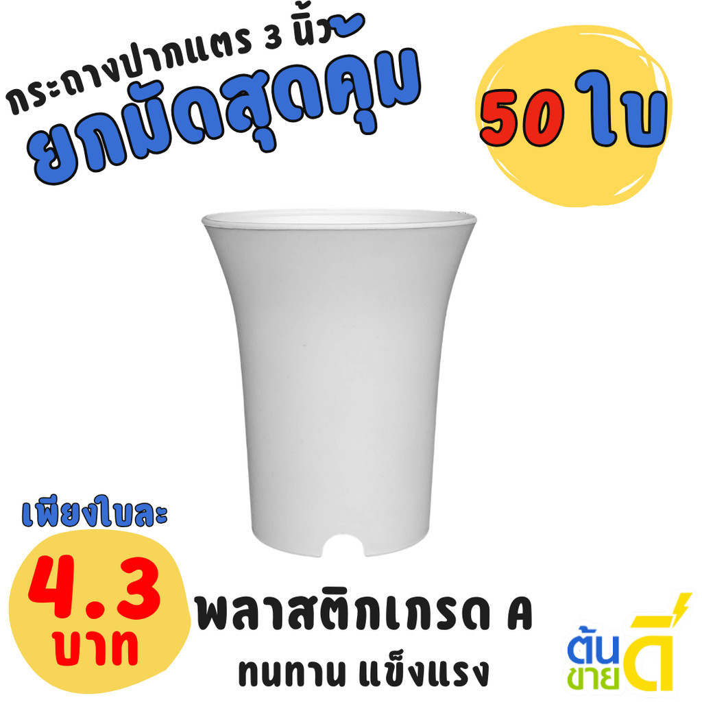 กระถาง กระถางแคคตัส กระถางปากแตร 3 นิ้ว สีขาว สีดำ สีเทา สีอิฐ Bundle 50 ใบ ชิ้น อัน