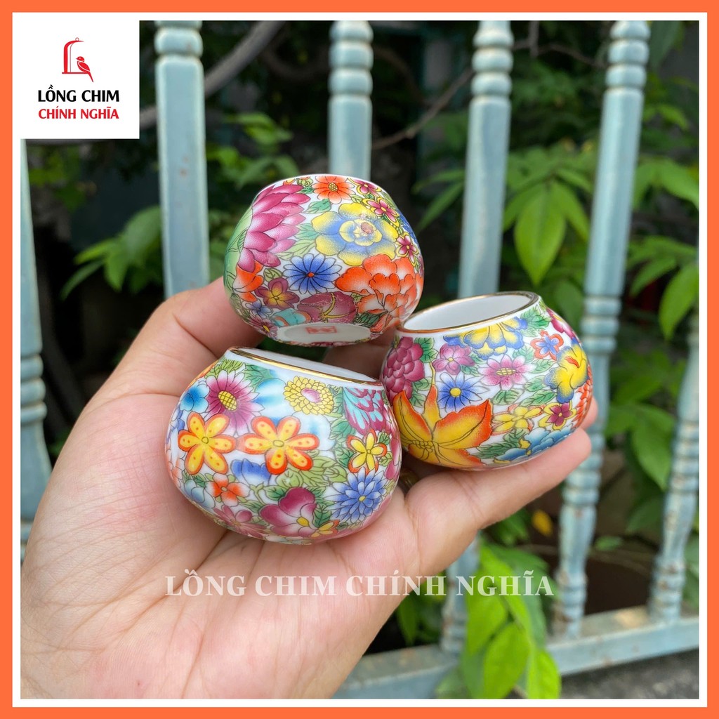 Cranberry Greeting Crest ลายดอกไม้สีม่วง 2024 รวม 3 ดีไซน์ที่สวยงามเป็นพิเศษ (พร้อมหูจีนมีจําหน่าย) - อุปกรณ์เสริมกรงนกหลัก