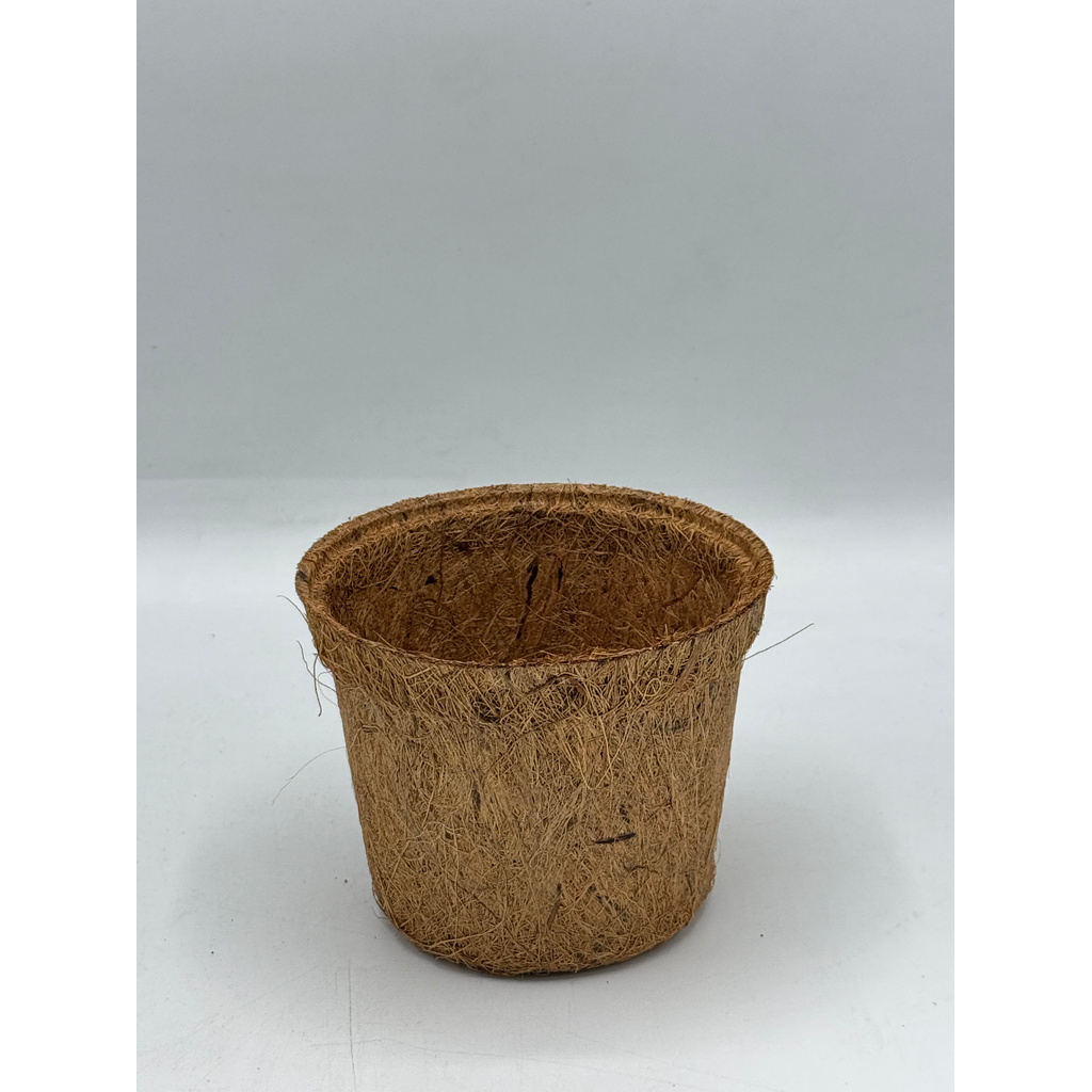 มุมมอง 4