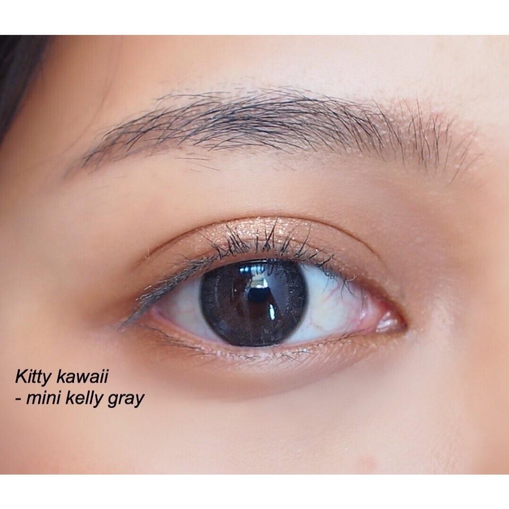 คอนแทคเลนส์[มินิ] Mini Kelly Brown / Gray (Kitty Kawaii) ☁️ มี อย.ไทย ราคา ถูกที่สุด ดีลบีเคเค แกลเลอรีภาพที่ 6