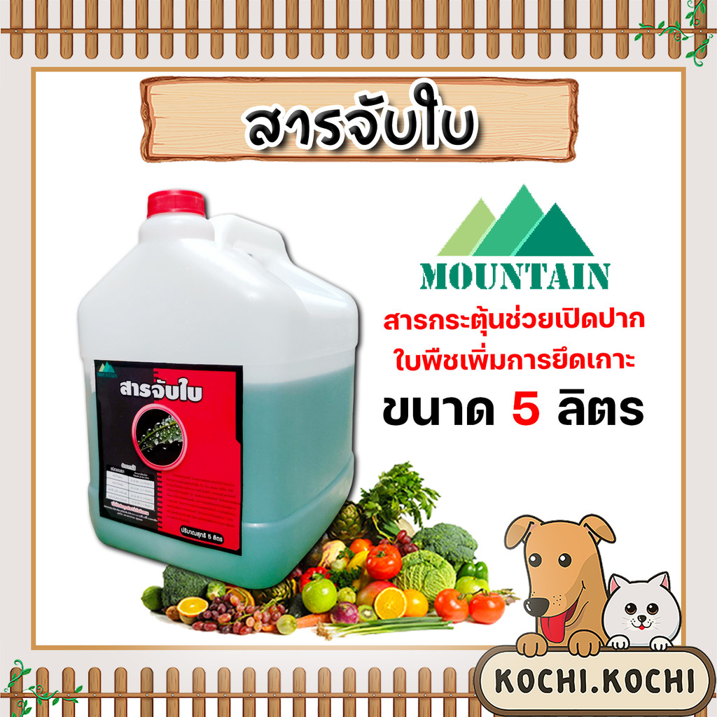 สารจับใบ ขนาด 5ลิตร Moutain สารจับใบสูตรพิเศษ ยึกเกาะแน่นติดทน ซึมซับเร็ว  ยาจับใบ จับใบเข้มข้น ของแท้