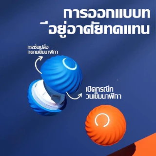 ลูกบอลไฟฟ้าอัตโนมัติ-พอร์ต-USB-สําหรับฝึกสุนัข-แมว