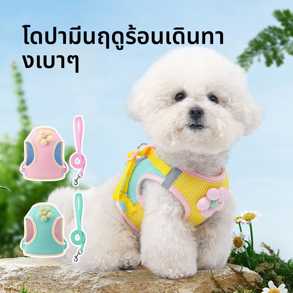 เสื้อเกราะสายจูงแมว-หมาเล็ก รุ่นใหม่ ป้องกันหลุดง่าย ระบายอากาศ น่ารักสุดฟรุ้ง โทนสีมาการองหวาน ชุด