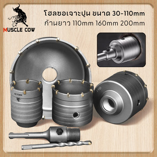 MUSCLE COW ชุดดอกสว่าน โฮลซอเจาะปูน คอนกรีต อิฐบล็อก หินอ่อน กระเบื้อง 3 ขนาด 30 40 50 mm ใช้สำหรับเจาะกระแทก