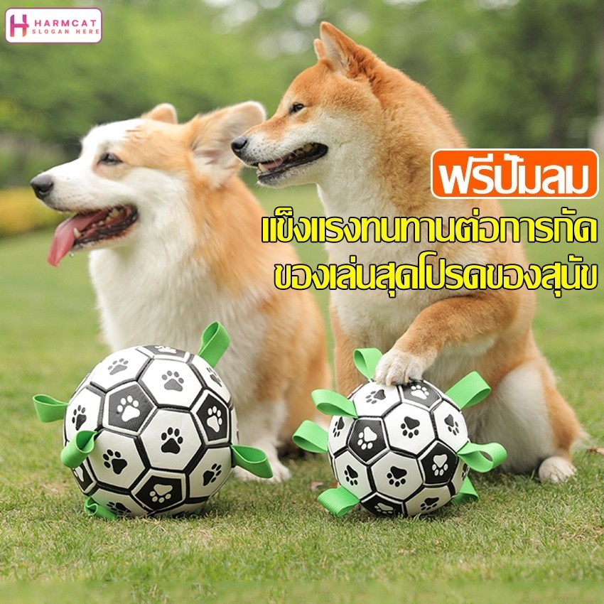 Harmcat ลูกบอล สําหรับฝึกสัตว์เลี้ยง สุนัข ของเล่นลูกบอล Interactive Ball ลูกบอลฝึกหมา ฟรีที่ปั้มลม มี 3 สีให้เลือก