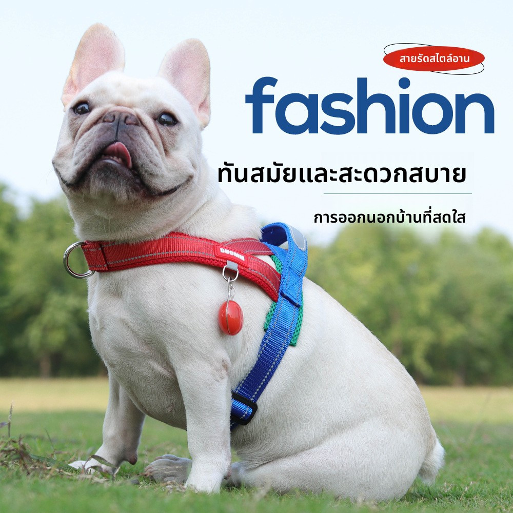 จูงสุนัข สายรัดหน้าอกสัตว์เลี้ยงรูปแบบใหม่ สายรัดกว้าง ตัดกัน เย็บอย่าสตริง สุนัข หน้าอก กลับ สายจูงสุนัขกลางแจ้ง