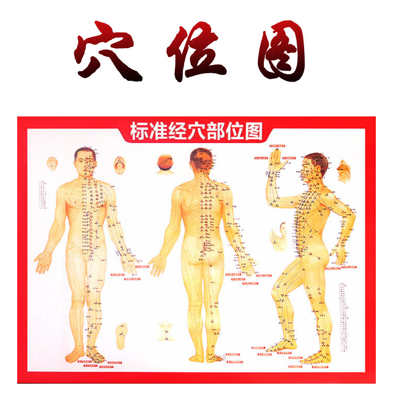 Human Body Meridian ฝังเข็มแผนที่ Moxibustion หนังสือคําอธิบายแผนที่การพิมพ์สองด้านกดฝังเข็มแผนที่ M