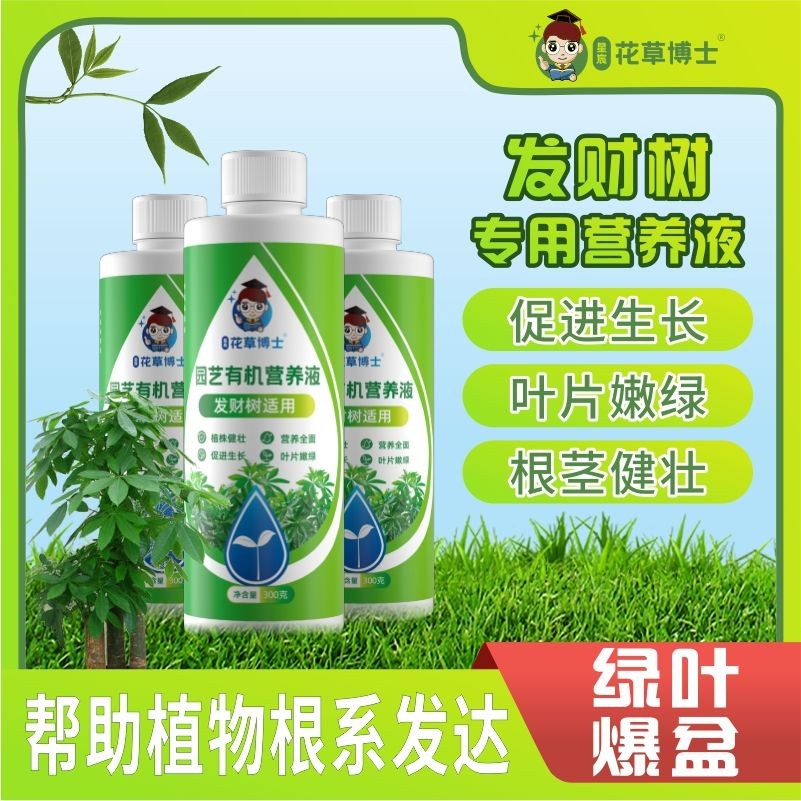 现货现发发财树营养液专用植物专用肥通用生根水溶黄叶家用盆栽养花肥料The special plant fertilizer for the rich tree nutrient solution is