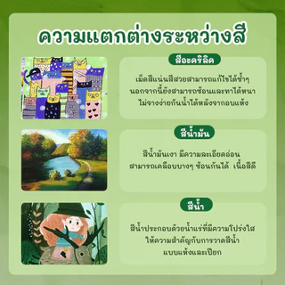 ชุดสีอะคริลิค12 ml/หลอด (ชุด 12 สี) Set oil color /Acylic color /water color