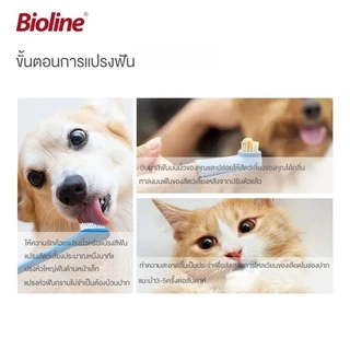Bioline ชุดแปรงฟันสัตว์เลี้ยง ชุดแปรงฟัน ยาสีฟันสัตว์เลี้ยง ยาสีฟันที่กินได้ รสชาติหลากหลาย