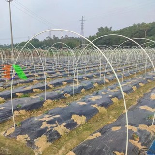 (Combo 5 thanh) Khung vòm trồng rau STT-X, Thanh vòm sợi thủy tinh, Khung màng luống Rau Hoa gieo Mạ đường kính 5mm