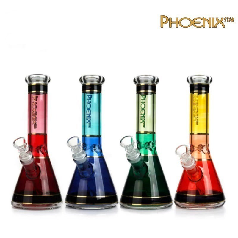 Phoenix Star Colorful Beaker Bong 10 Inches 25cm