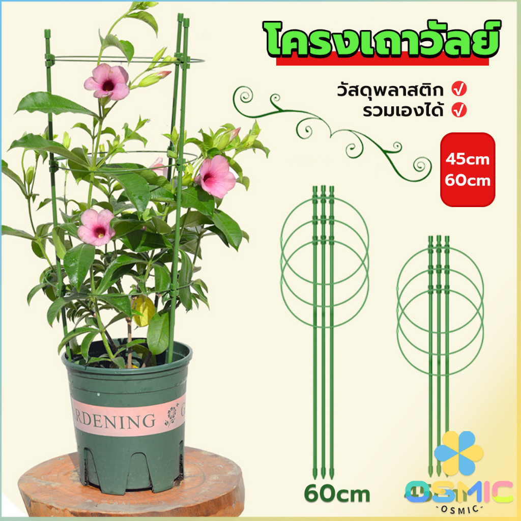 MIC โครงเถาวัลย์ เสามะเขือเทศ โครงปลูก อุปกรณ์สำหรับพืชไม้เลื้อย 45cm 60cm plant trellis