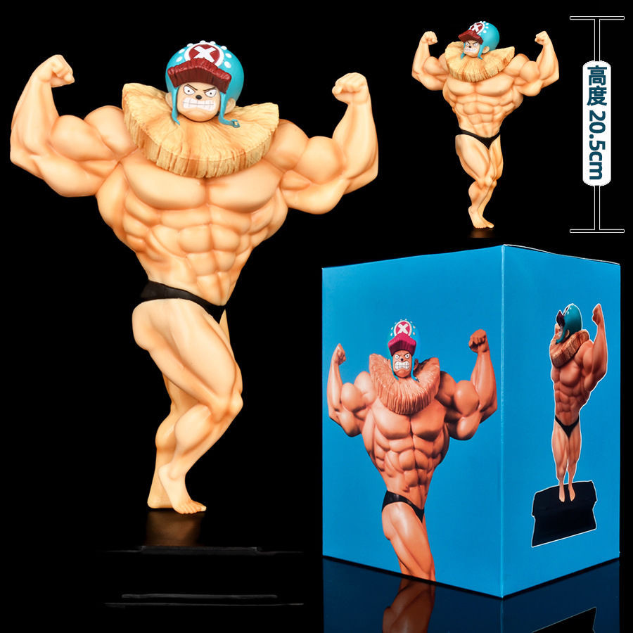 One Piece GK Muscle Macho Fitness Muscle Chopper ตุ๊กตาตกแต่งรูป - รูปที่ 7