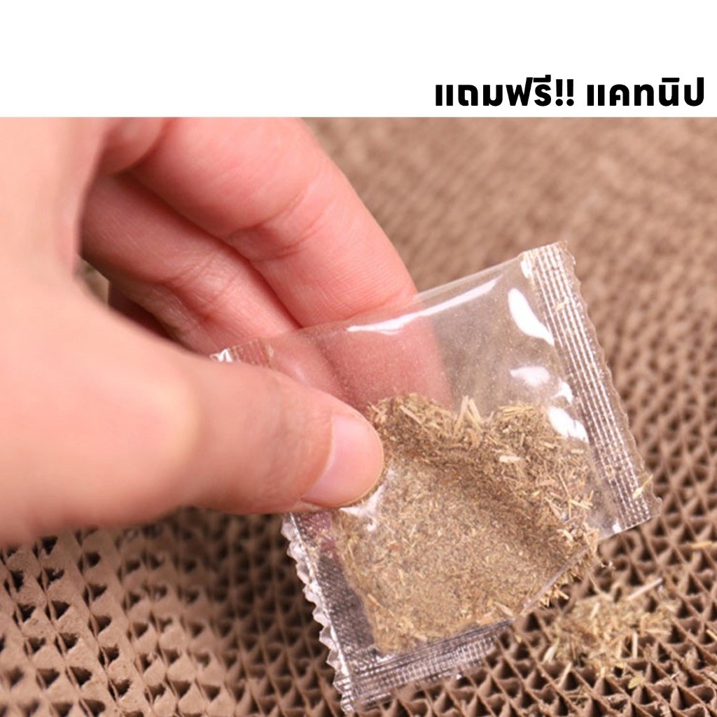 ที่ลับเล็บแมว+แคทนิป อ่างลับเล็บ ของเล่นแมว ที่นอนแมว แผ่นลับเล็บ ที่ฝนเล็บสัตว์เลี้ยง ที่นอนแมว 2in1 กระดาษลูกฟูก - รูปที่ 6