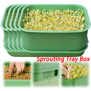 1/2ชุดถาดเพาะกล้าพลาสติกวางซ้อนกันได้/ถั่วงอกไร้ดินถาดเพาะชํ…