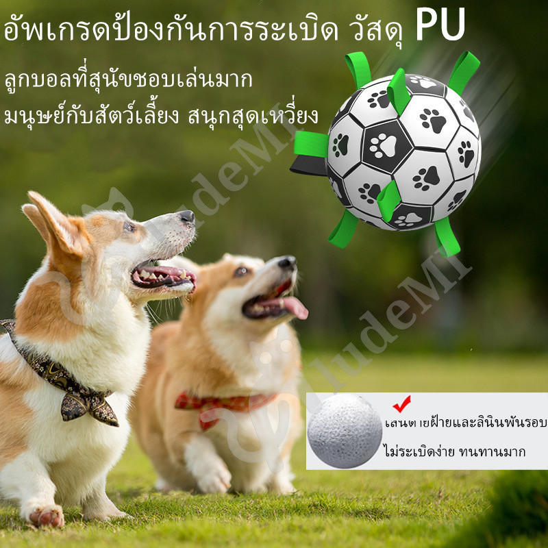 ของเล่นสุนัข ฟุตบอลสุนัข ลูกบอลสัตว์เลี้ยงสำหรับสุนัขเพื่อป้องกันการกัดฟันสามารถใช้ในการฝึกสุนัขเพื่อรับลูกบอลโดยเฉพาะสำหรับการใช้งานกลางแจ้งและขายส่งลูกบอลเกมสัตว์เลี้ยง